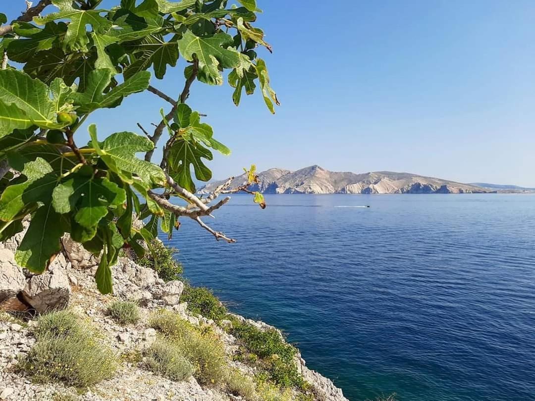 Apartments Garden Baška Eksteriør billede